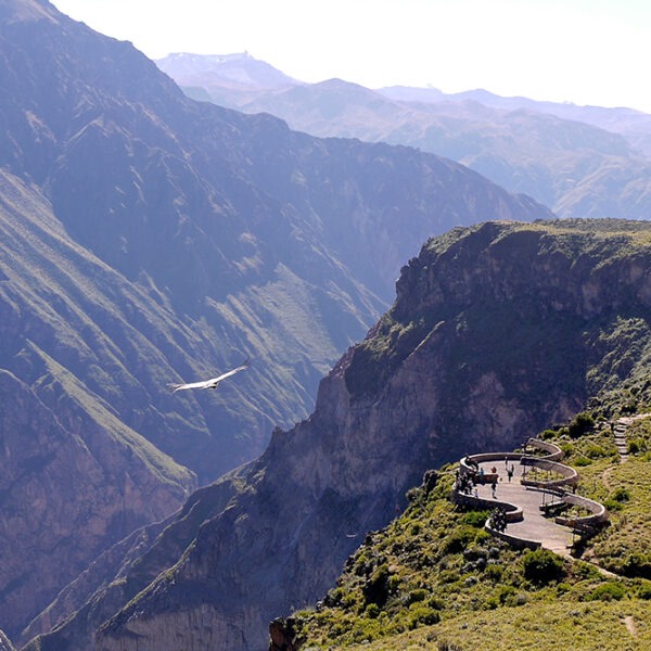 CAÑON DEL COLCA 2 DIAS